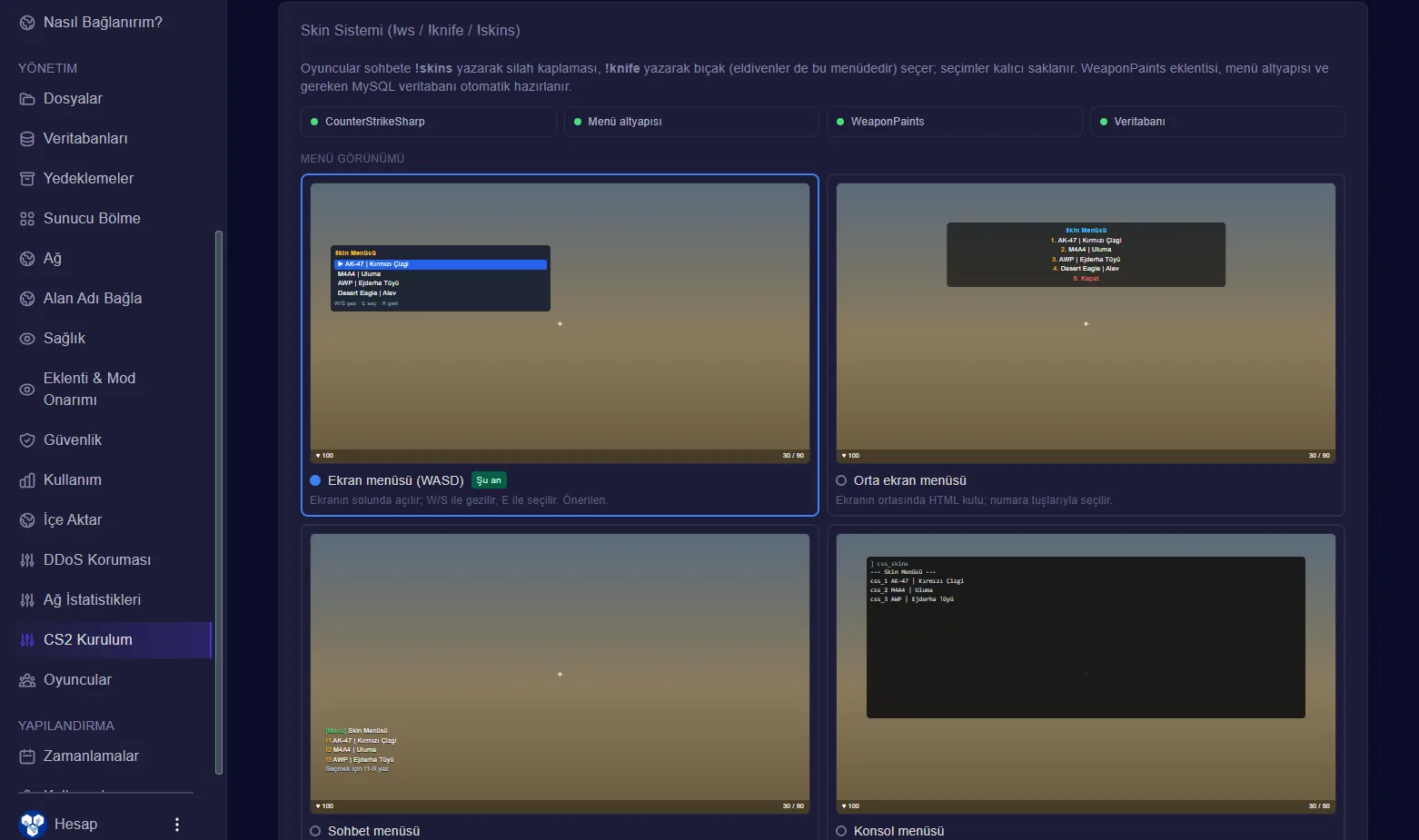 CS2 Panel Skin Menü