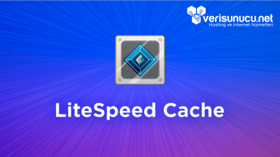 Litespeed Cache Ayarları (2025)